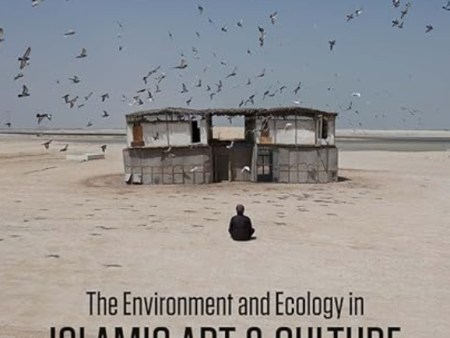 The Environment and Ecology in Islamic Art and Culture (The Biennial Hamad bin Khalifa Symposium on Islamic Art)  by Radha Dalal, Sean Roberts, Jochen Sokoly on Sale