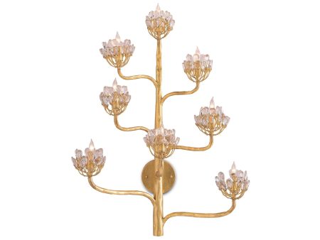 Agave Americana Wall Sconce in Various Finishes design by Currey & Company Discount