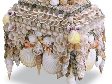 Boardwalk Shell Jewelry Box design by Currey & Company Fashion