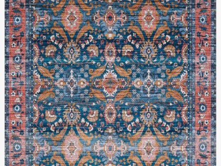 Cielo Rug in Ocean & Coral For Cheap