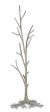 Countryhouse Coat Tree design by Currey & Company Online Hot Sale